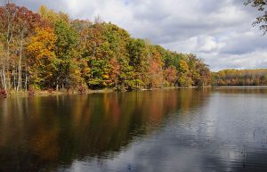 Burke Lake Park.