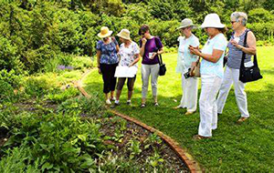 Six women admire garden at Green Spring.