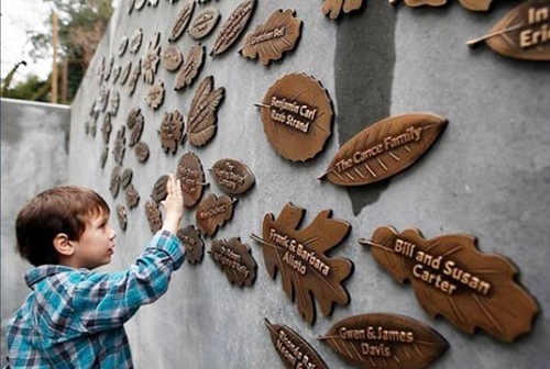 Boy touches leaves on art wall.