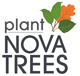 Plant NOVA Trees