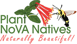 Plant NOVA Natives.