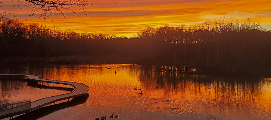 Sunset on the water at Huntley Meadows Park in Fairfax County VA.