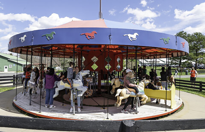 Frying Pan Farm Park carousel.