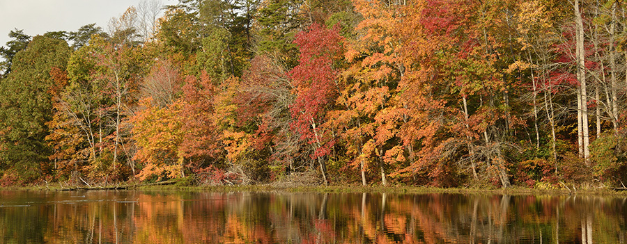 Fall foliage reflected on water.