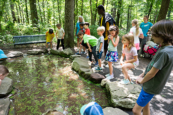 Adults and children looks at the pond.